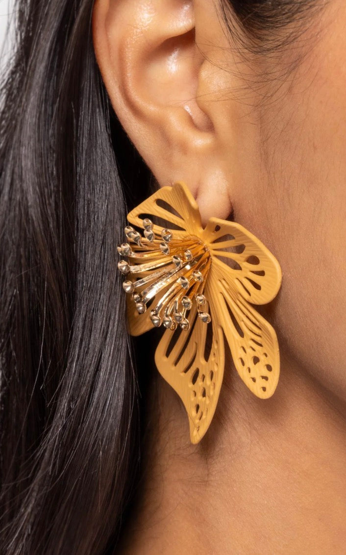 Wonderland Wallflower Brown