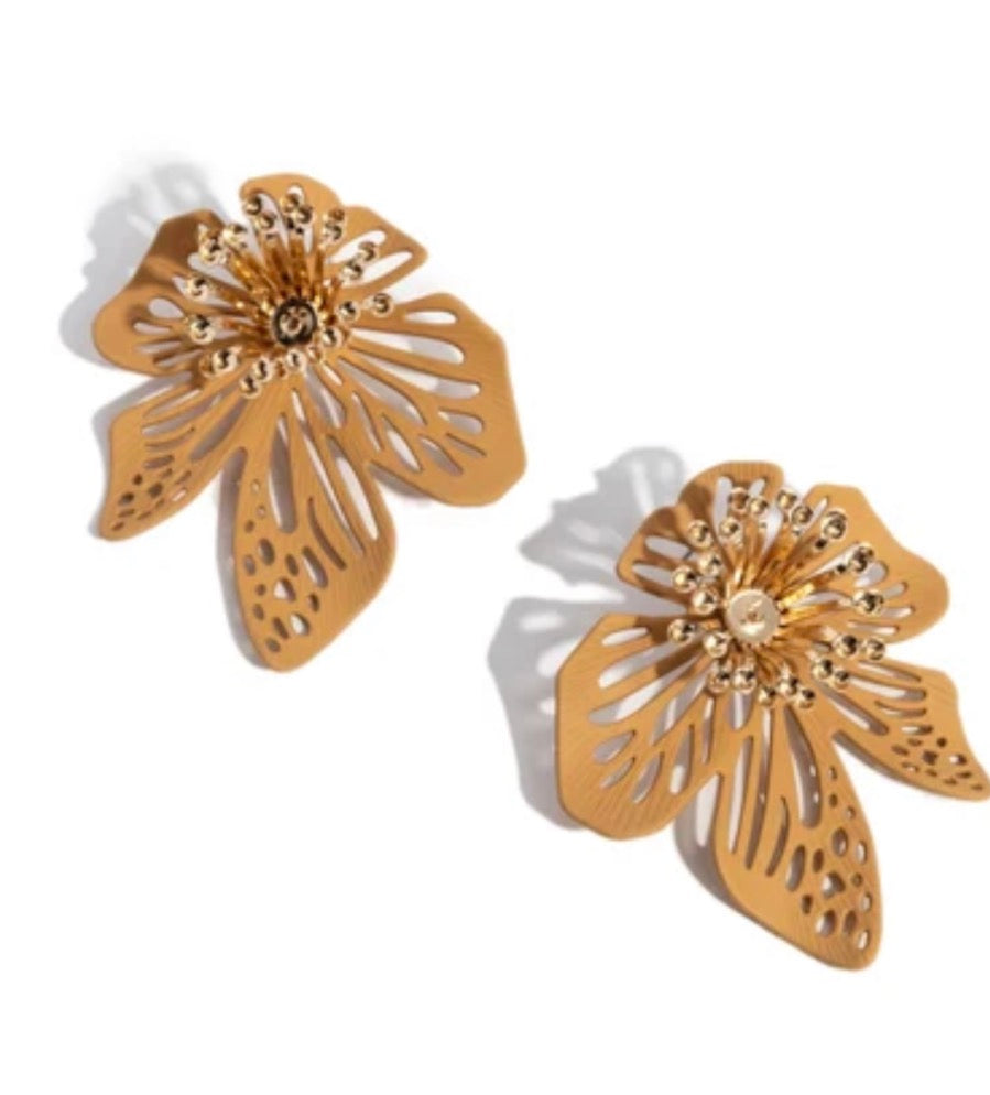 Wonderland Wallflower Brown