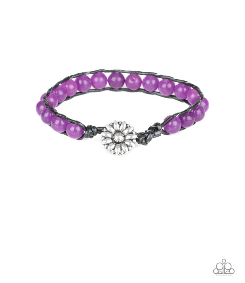 Daisy Guru Purple