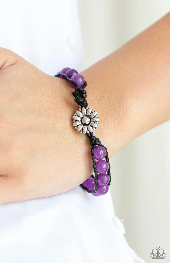 Daisy Guru Purple